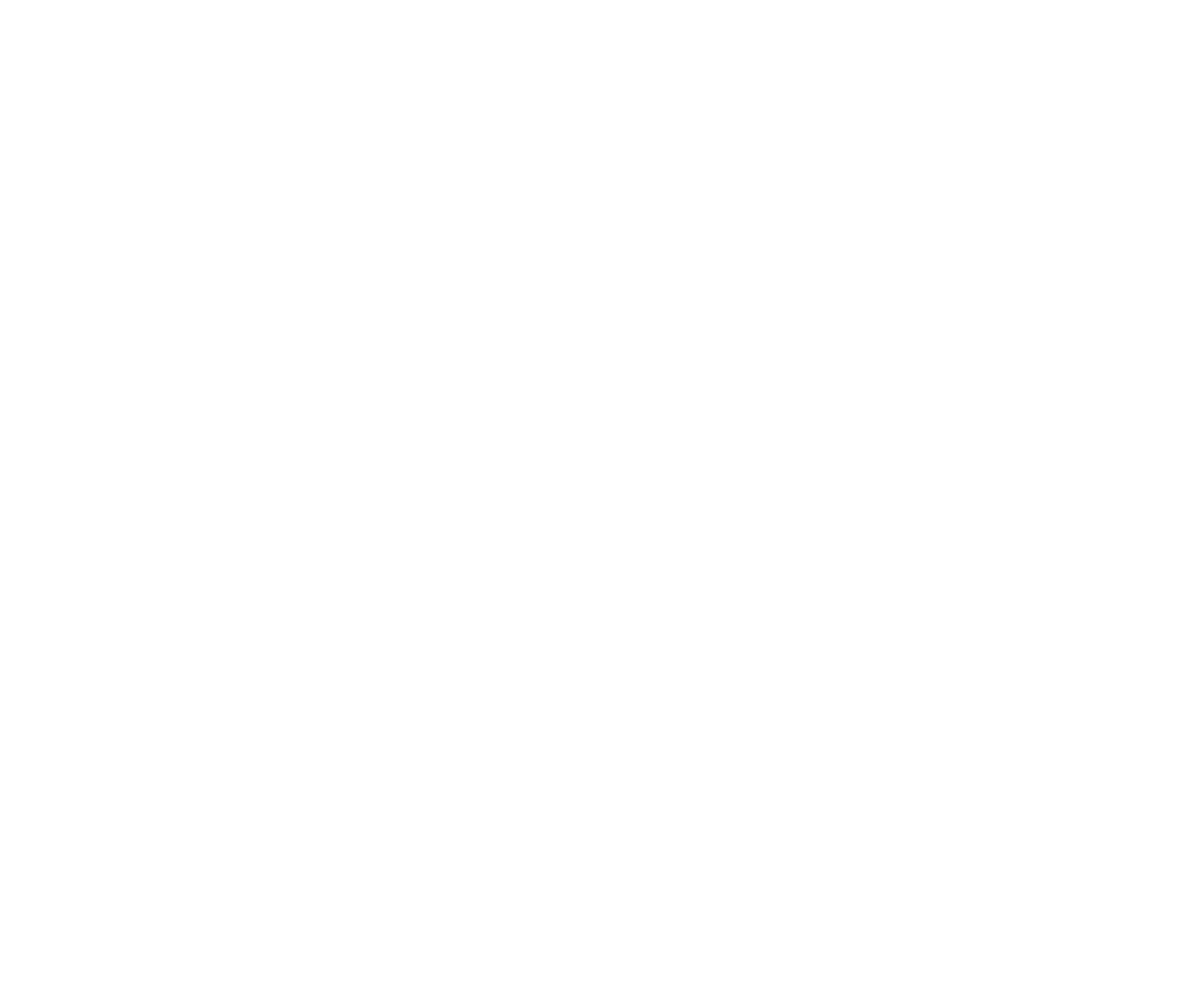 logo light